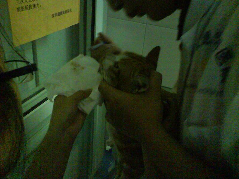 20081023_ebf6d0986e613c0dadfe4h9nsknbifay.jpg