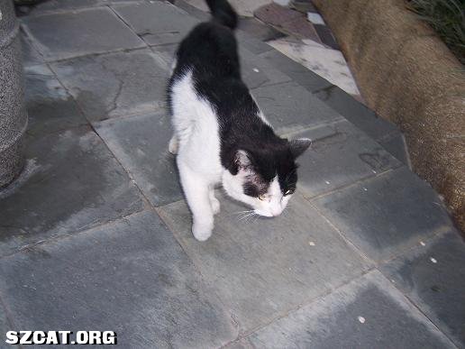 ��Ƭ 058.JPG