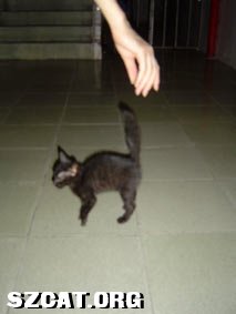 DSC03020.jpg