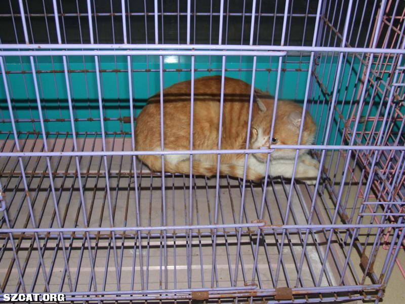 DSCF3454_������С.JPG