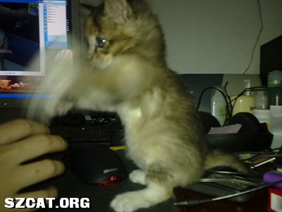 20090225_fa5d44d82cb2e03bef6dae8yweKRsWye.jpg