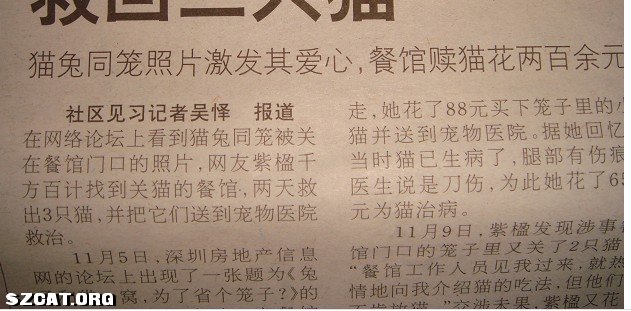 人口余生的意思_哪怕余生不尽人意