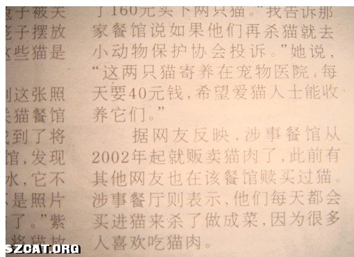 人口余生的意思_哪怕余生不尽人意