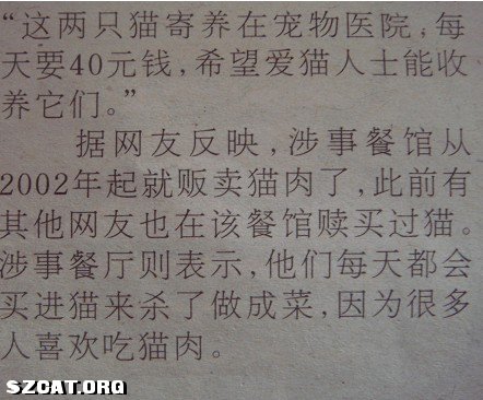 点击图片查看详情 人口余生_人口余生 代猫猫们发帖求助