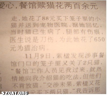 人口余生_人口余生 代猫猫们发帖求助
