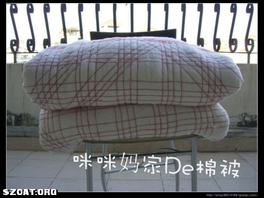 做被子的棉花叫什么名字 091117113149ff016e4adf7508.jpg