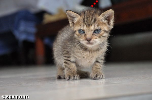 DSC_5544.JPG