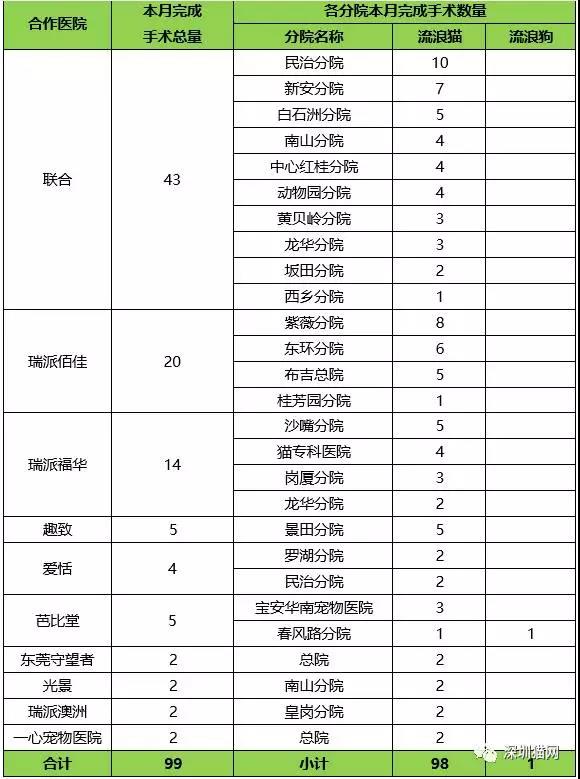 如何为流浪猫狗申请免费绝育