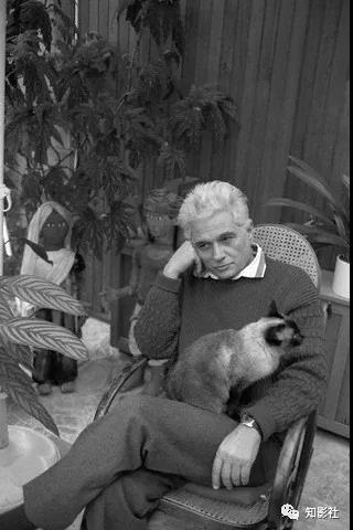 今天来撸一撸,中外文化名人和他们的猫