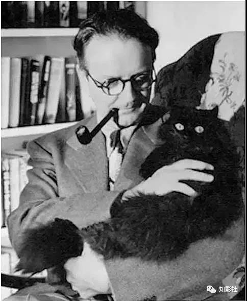 今天来撸一撸,中外文化名人和他们的猫