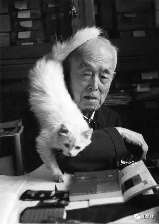 季羡林的猫:"虎子和咪咪"