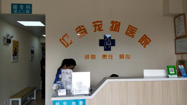 深圳叮当平湖宠物医院完成准入正式合作